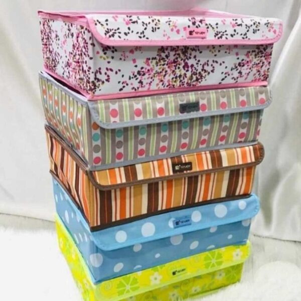 Grid Compartments Foldable Organizer Storage Box- Random Color